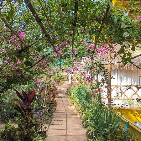 Hippie Paws Hotel มานเดรม ภายนอก รูปภาพ
