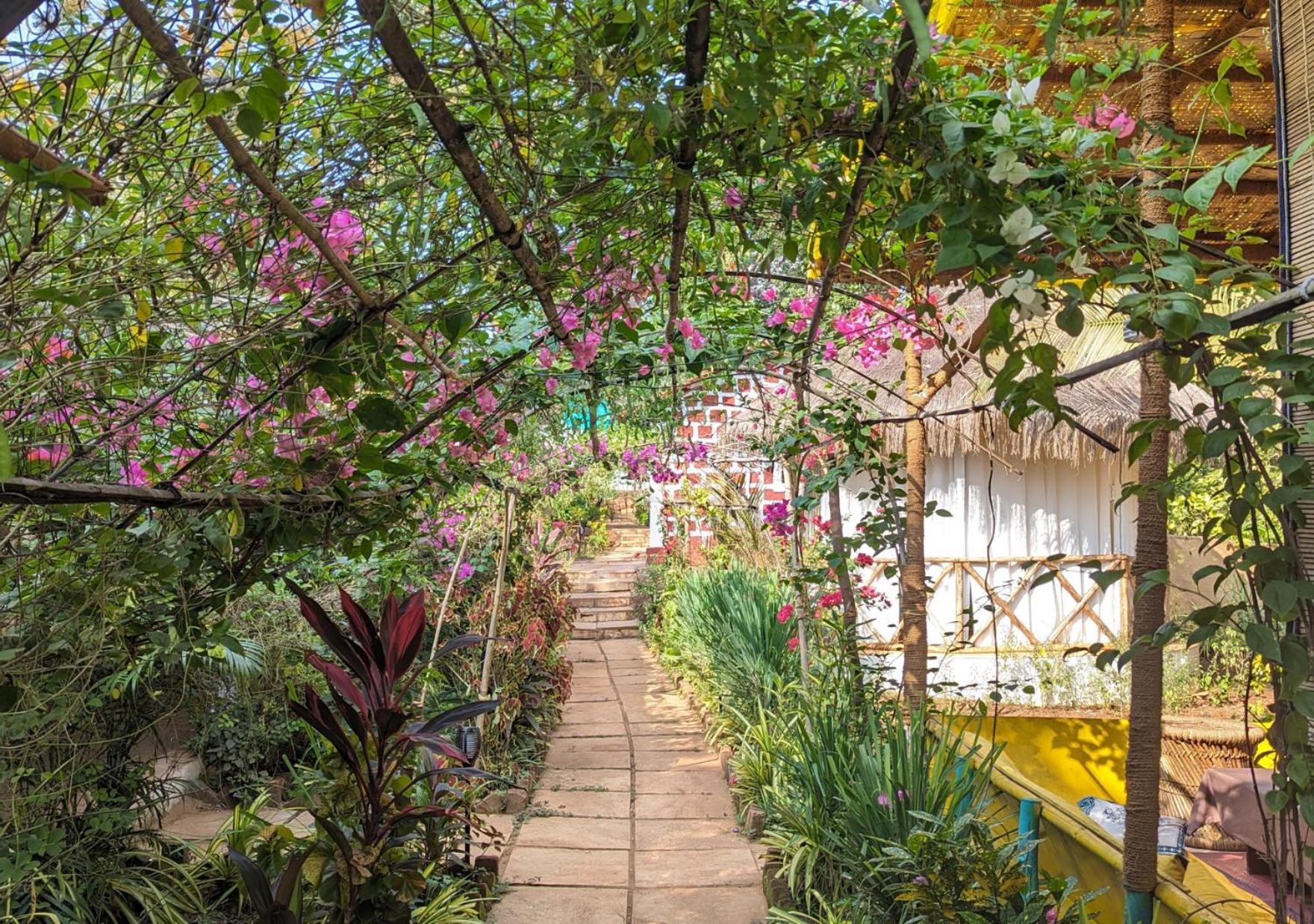 Hippie Paws Hotel มานเดรม ภายนอก รูปภาพ