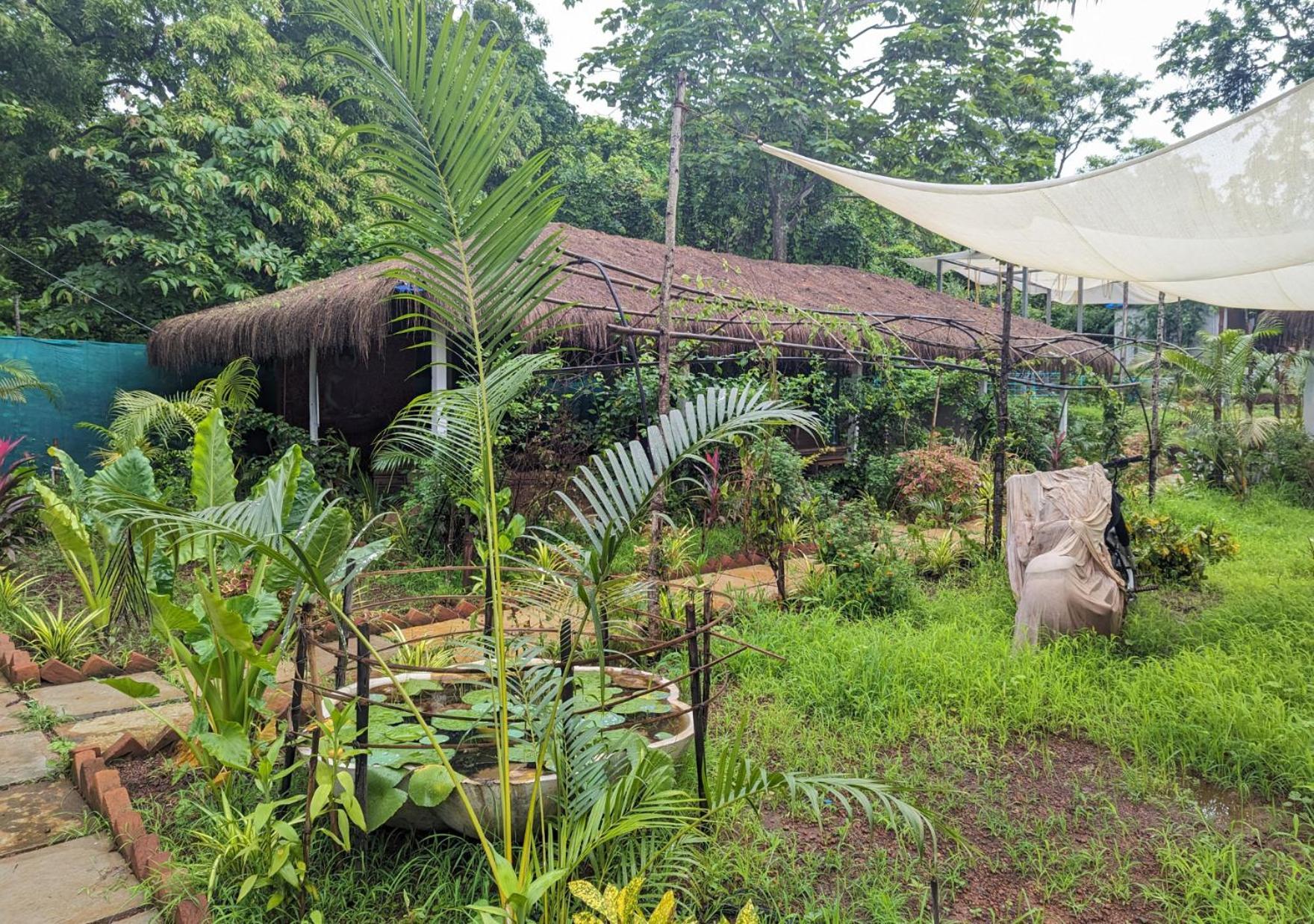 Hippie Paws Hotel มานเดรม ภายนอก รูปภาพ